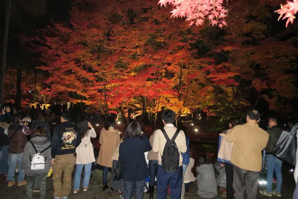 池の周囲は人垣でいっぱい