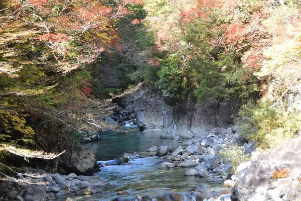 紅葉と絶景の阿寺渓谷＜1＞