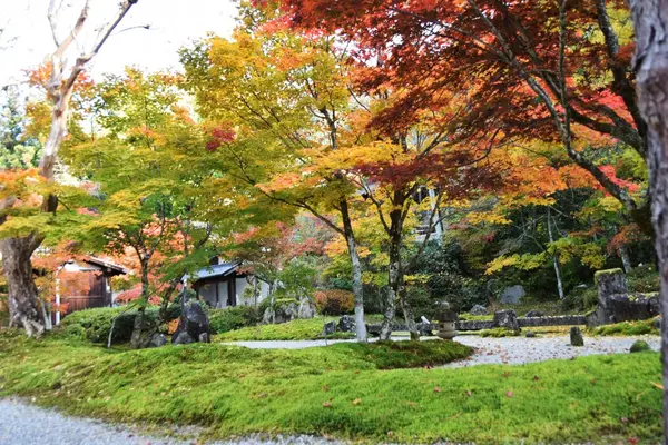 紅葉の定勝寺＜1＞