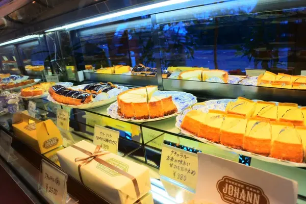 ショーケース