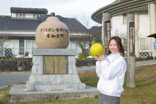 熊本の名産「晩白柚」