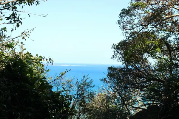 久高島を望みます！