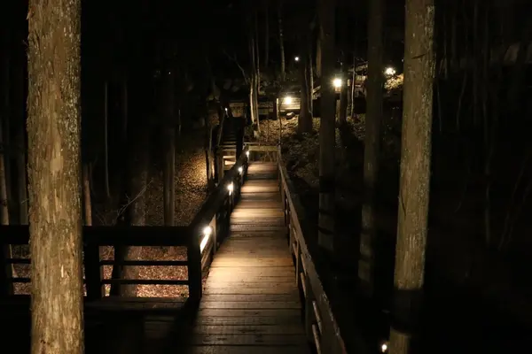 本館と東館は橋で繋がってます🚶