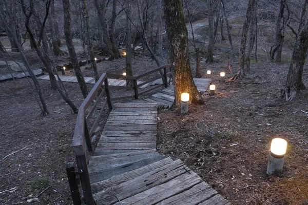 大きな施設なので色々散策できます!