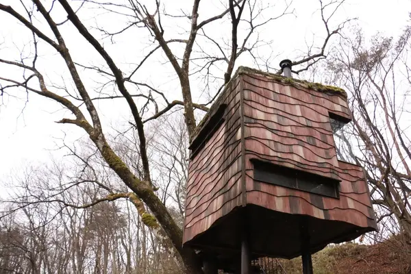 ツリーハウスもあります🌲