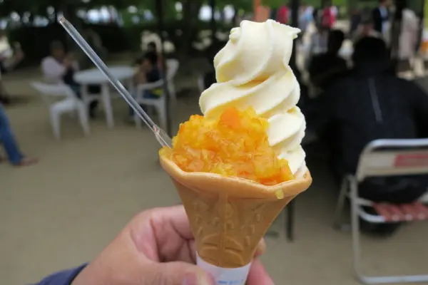 伊予柑ソフト