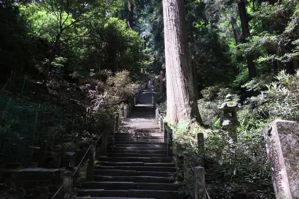 奥ノ院への参道
