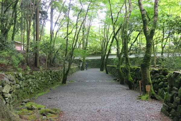参道その２