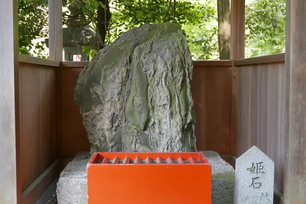 これが問題の石