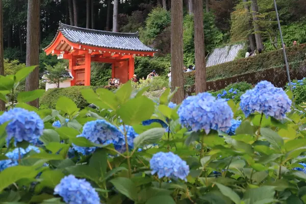 山門を背景にパシャリ