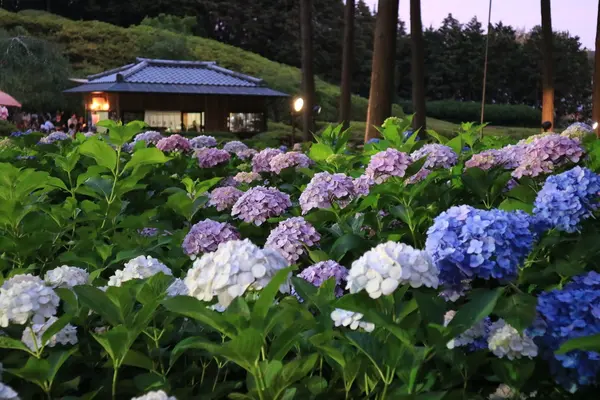 日暮れまでもう少し