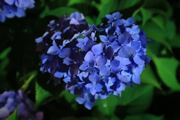 ハート型を発見！