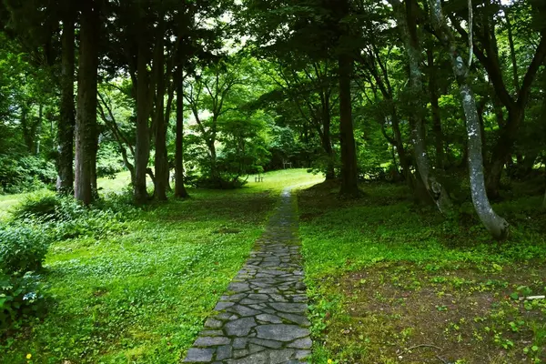遊歩道