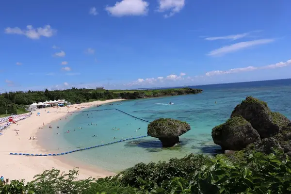 スイミングエリアも広くてゆっくり泳げます🏊
