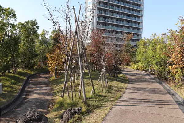天空の公園