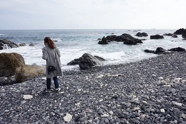 海