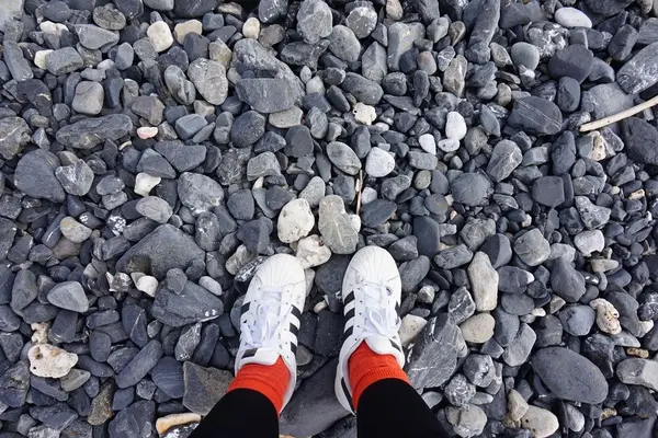 海