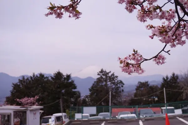 富士山
