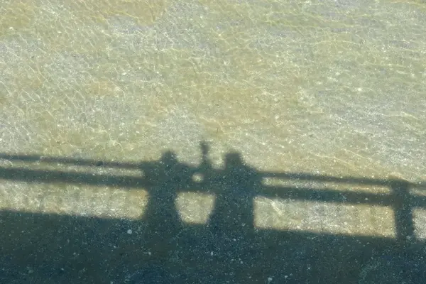 浅瀬でお遊びをｗ
