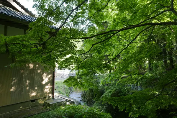 鳴谷神社周辺も紅葉が
