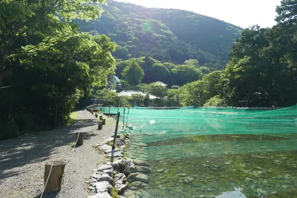 唯一の開けた場所