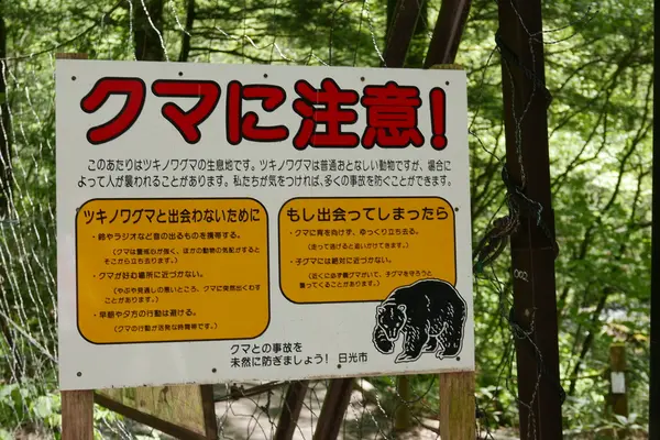 出るね！