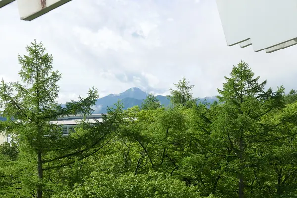 チェックアウト間際に晴れ