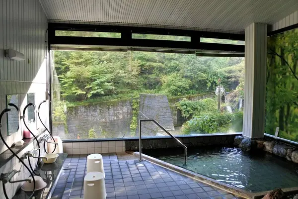 眺めが良く開放的な浴室