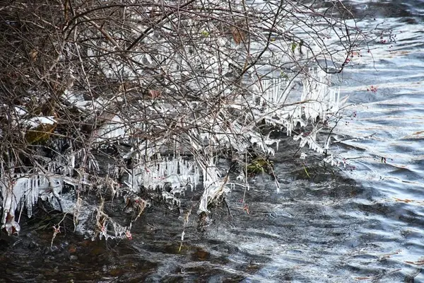 綺麗な湖水と氷柱。