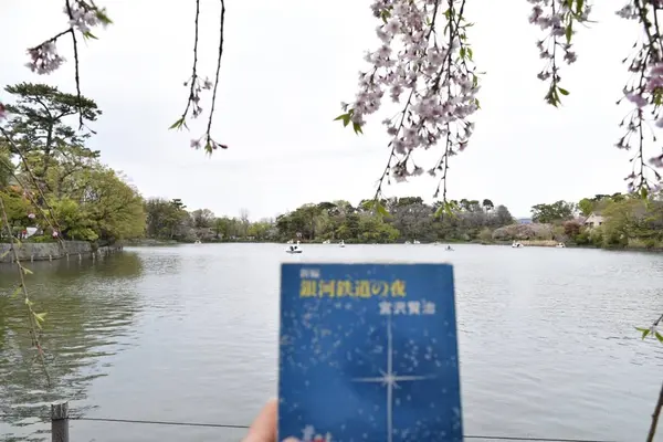 ベンチで読書