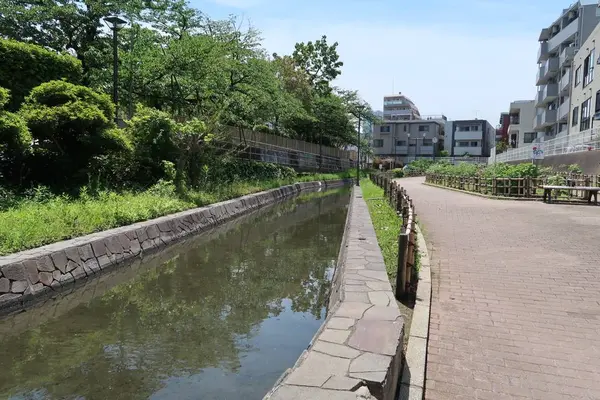 古石場川親水公園