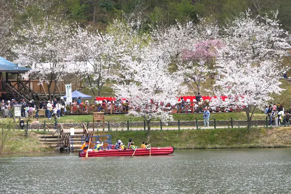 春は桜！