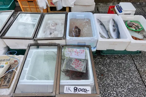 お魚安かった