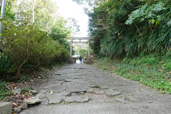階段を登りきった先はちょっと坂道