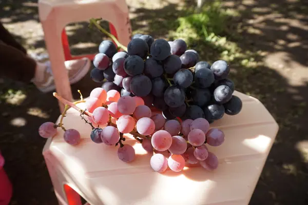2種類🍇