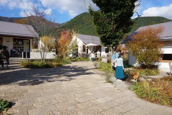 お洒落な空間が広がってる