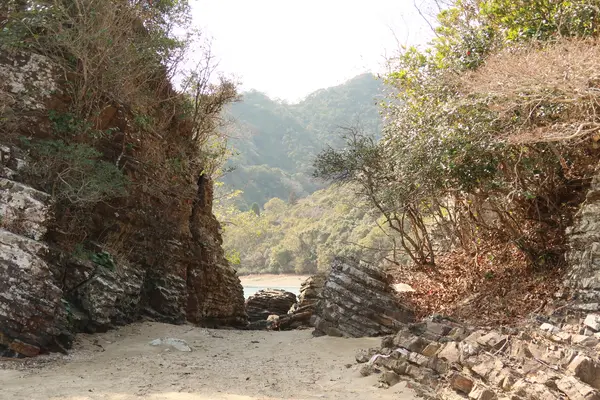 ビーチ右側には・・・