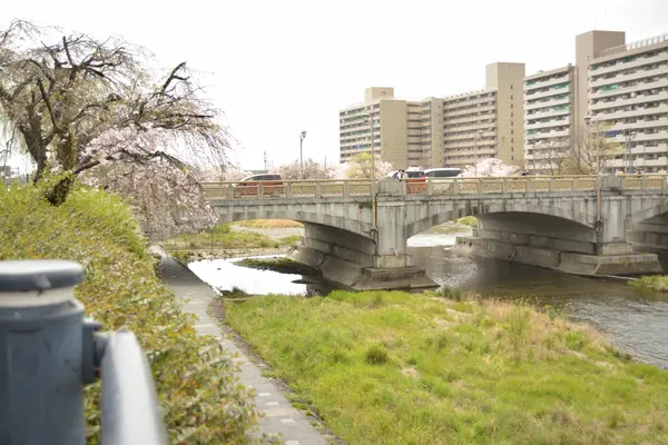 鴨川沿いの遊歩道