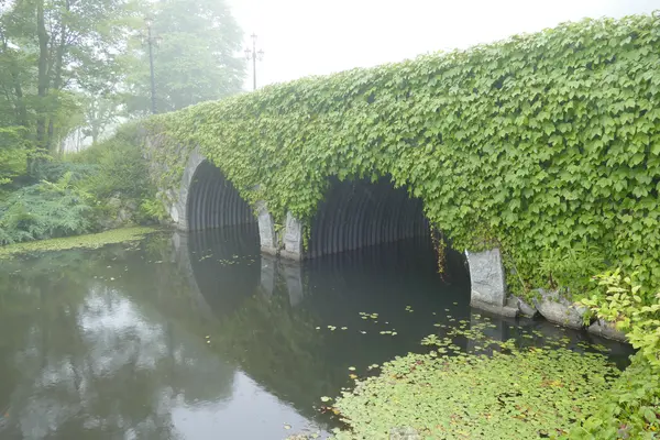 水に囲まれた庭園✨