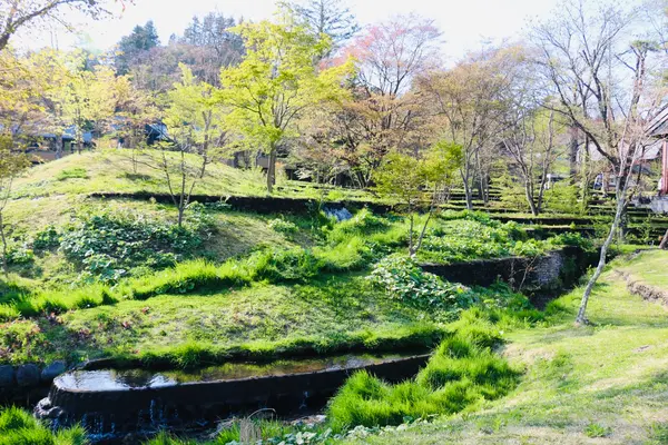 緑が多くていいですねー🍀✨
