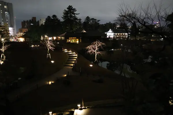 上から見下ろした玉泉院丸庭園