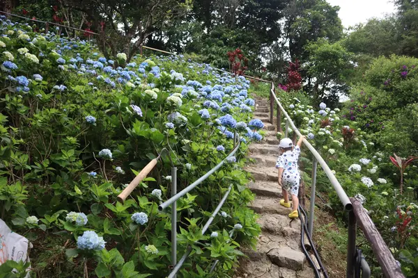 歩きやすい靴