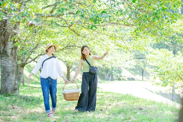 歩いてピクニックスポットへ