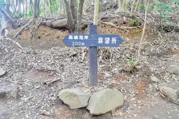トンネルの先