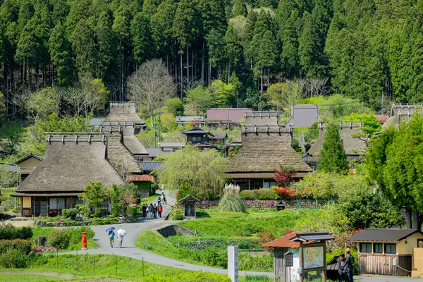 39 thatched houses