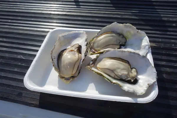 その場で食べる楽しみ