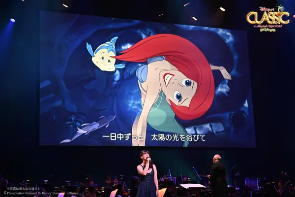 画像はイメージです。
