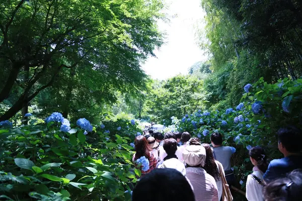 けど、めちゃくちゃ混んでる、、、