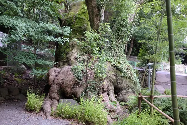 第ニ大楠