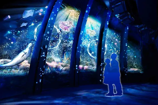 最新技術を用いた水族館が楽しめる！